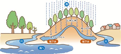 涵養水源的意思|涵養的意思